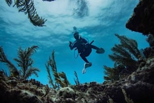 Tulum: 2 Tank Cenote Dive