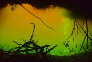 Tulum: 2 Tank Cenote Dive