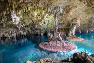 Tulum: 5-Day All-Inclusive Hotel with Xplor Park and Cenote