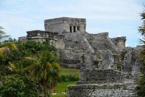 Tulum Tour: Archaeological Zone and Cenote with Lunch and Transfer Included