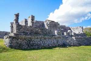 Tulum Tour: Archaeological Zone and Cenote with Lunch and Transfer Included