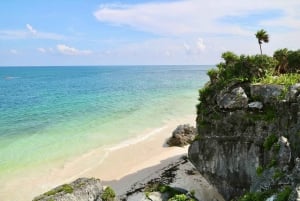 Tulum Tour: Archaeological Zone and Cenote with Lunch and Transfer Included