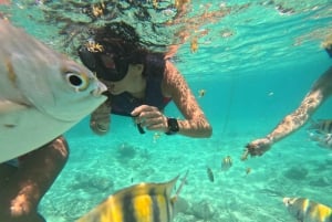 Tulum: tour de día completo en minibús por la bahía de Bacalar con almuerzo