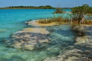 Tulum: Experiencia en la Laguna de Bacalar Paseo en barco y Cenote Azul