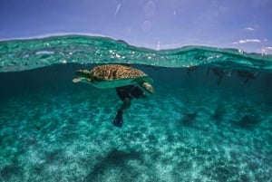 Tulum Castle, Ancient Temples Tour and Sailing Experience