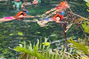 Tulum: Cenotes Tour with Snorkeling and Lunch