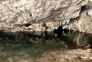 Tulum: Cenotes Tour with Snorkeling and Lunch