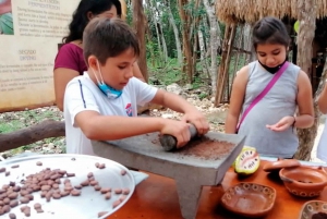 Tulum: Chocolate & Honey Sanctuary Experience with Lunch