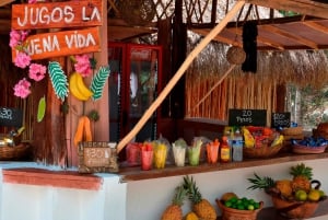 Tulum: Chocolate & Honey Sanctuary Experience with Lunch