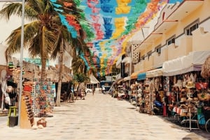 Tulum, Coba, Playa Del Carmen and Cenote Day Tour