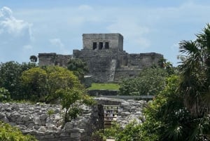 From Cancún: Tulum, Coba, Playa del Carmen, and Cenote Tour