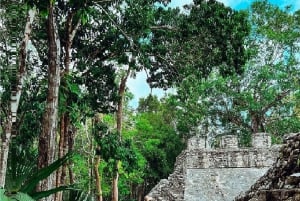 Tulum + Coba + the underground cenote PRIVATE TOUR