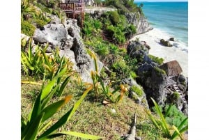 Tulum + Coba + the underground cenote PRIVATE TOUR