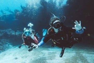 Tulum: Descubre el buceo en un cenote