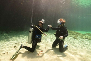 Tulum: Descubre el buceo en un cenote