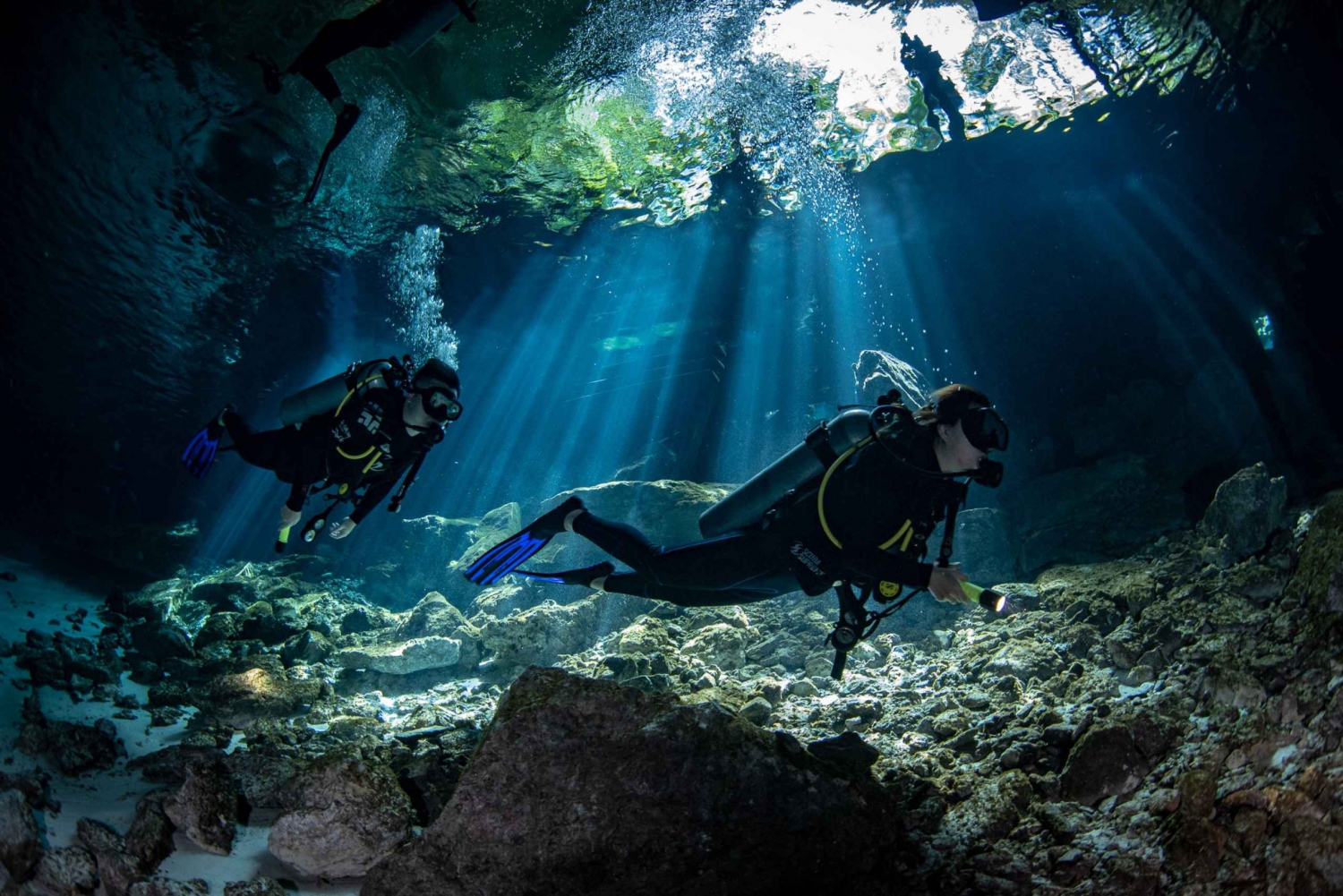 Tulum : Dos Ojos cenote 2 scuba dives (certified divers)