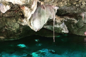 Tulum: Dos Ojos Cenote Guided Snorkeling Tour with Lunch