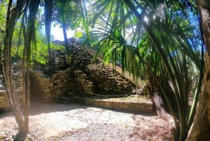 Tulum: Explora las ruinas mayas de Cobá y nada en los cenotes