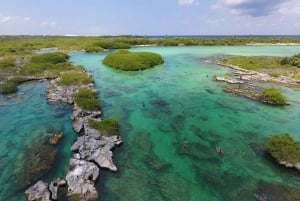 Expedición Tulum Express