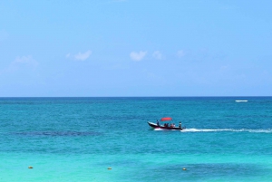 Tulum Express Half-Day Tour