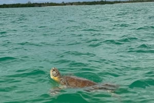 Tulum: Guided Tour of Mayan Ruins and Coral Reef Swim