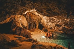 Tulum: ¡Experiencia en la Naturaleza de Medio Día! Tortugas y Cenote