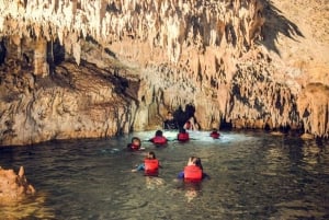 Tulum: ¡Experiencia en la Naturaleza de Medio Día! Tortugas y Cenote