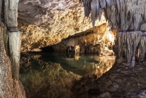 Tulum: ¡Experiencia en la Naturaleza de Medio Día! Tortugas y Cenote