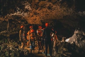 Tulum: ¡Experiencia en la Naturaleza de Medio Día! Tortugas y Cenote