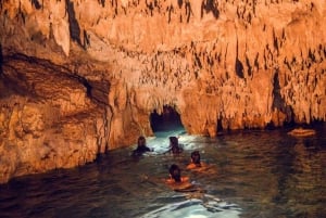 Tulum: ¡Experiencia en la Naturaleza de Medio Día! Tortugas y Cenote