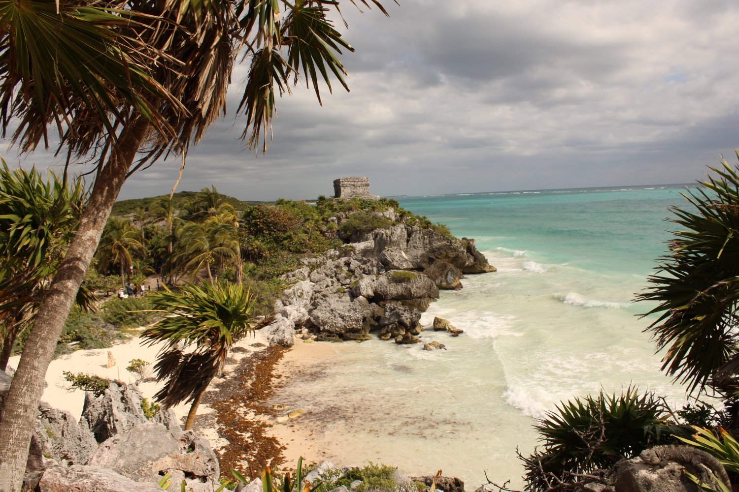 Excursions in the Riviera Maya