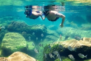 Tulum: Mayan Ruins, Swim with Turtles in Akumal & Underground Cenote