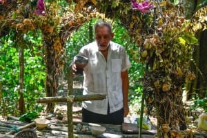 Tulum: Aventura en el Santuario de los Monos