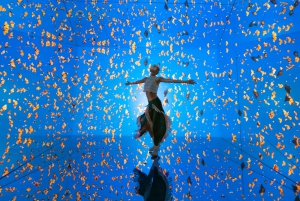 Tulum: Mystika Immersive Entrance Ticket