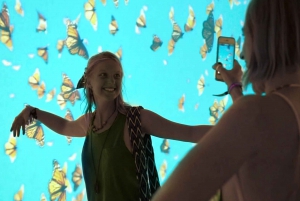 Tulum: Mystika Immersive Entrance Ticket
