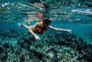 Tulum: Private Snorkel and Sailing Experience