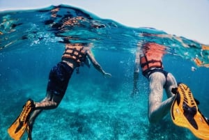 Tulum: Private Snorkel and Sailing Experience