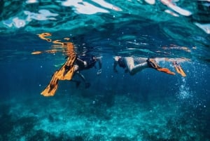 Tulum: Private Snorkel and Sailing Experience