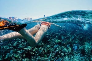 Tulum: Private Snorkel and Sailing Experience