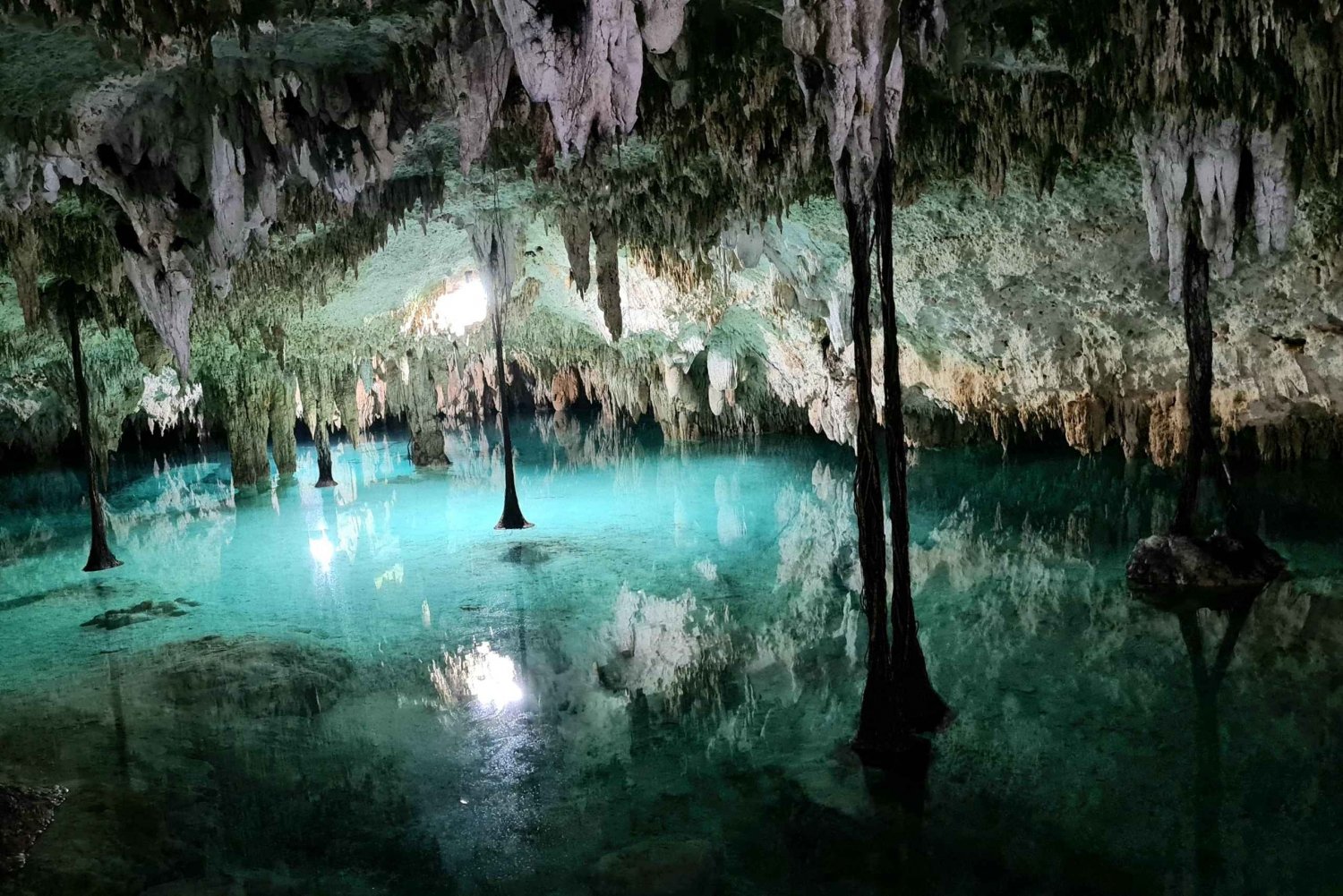 Tulum: Private Tour 2 Cenotes Sac Actun longest underground river in the world