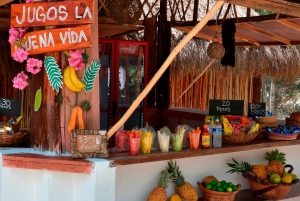 Tulum: Raw Honey & Chocolate Tour with Vegan Lunch & Cenote