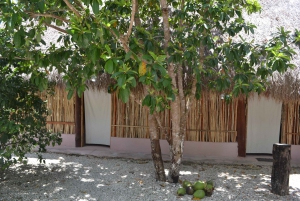 Tulum: Raw Honey & Chocolate Tour with Vegan Lunch & Cenote
