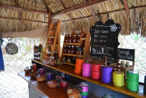 Tulum: Raw Honey & Chocolate Tour with Vegan Lunch & Cenote