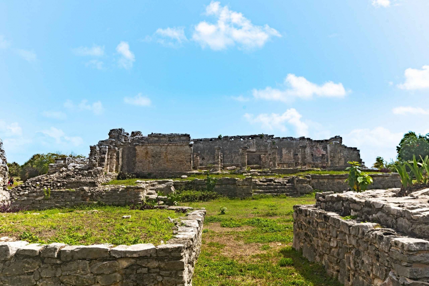Tulum: Ruins, Cenote and Turtle Snorkel Day Trip with Lunch