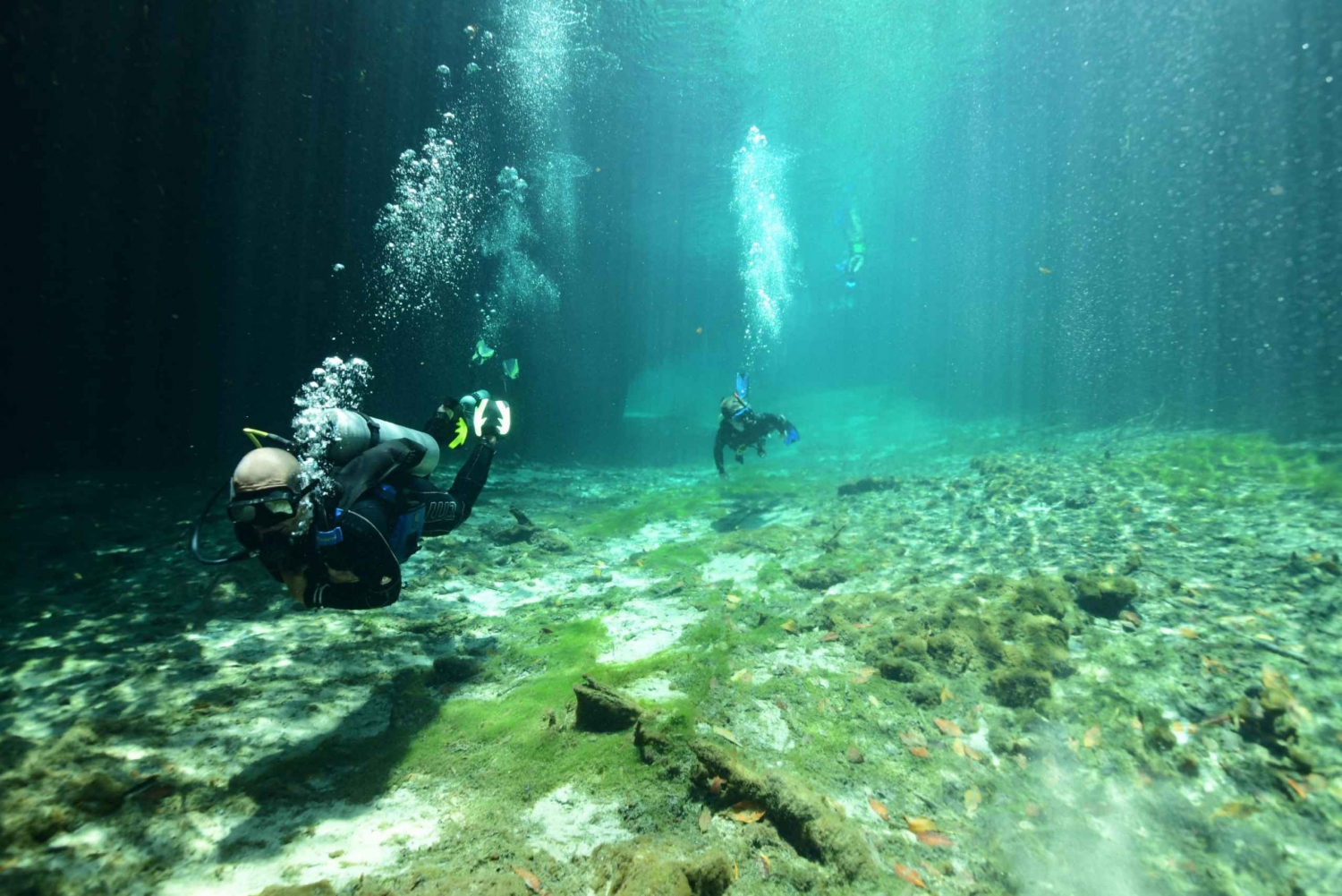 Tulum: Scuba Diving in Cenotes
