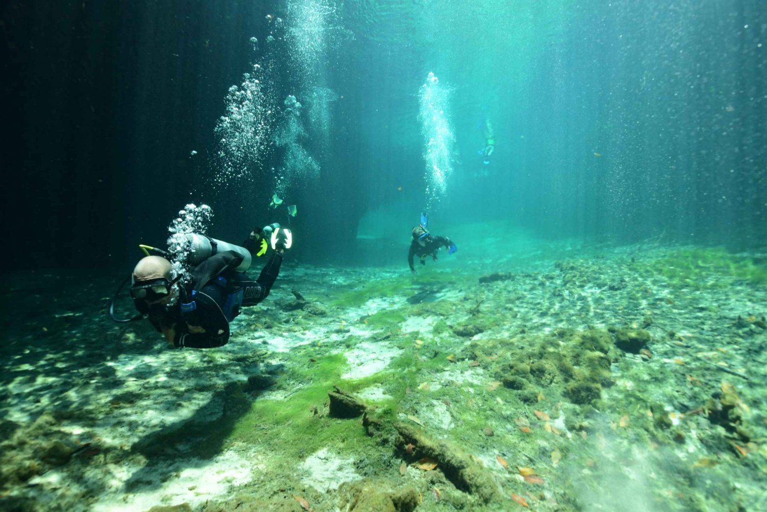 Tulum: Descubre el buceo en cenotes