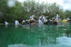 Tulum: Scuba Diving in Cenotes