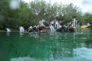 Tulum: Discover Scuba Diving in Cenotes