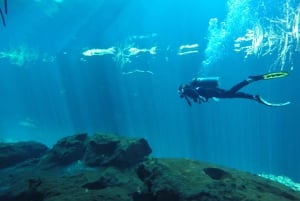 Tulum: Discover Scuba Diving in Cenotes