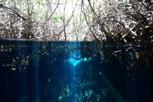 Tulum: Discover Scuba Diving in Cenotes